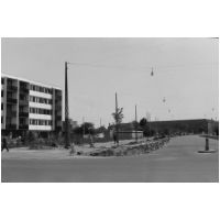 PEDERLYK.JPG